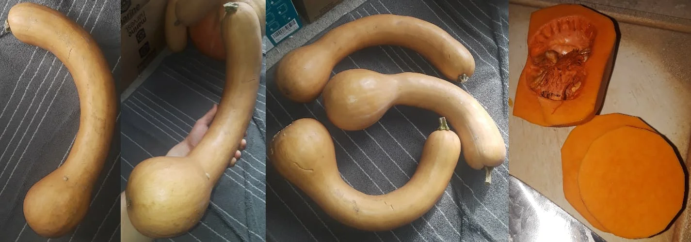 1756225319036.webp